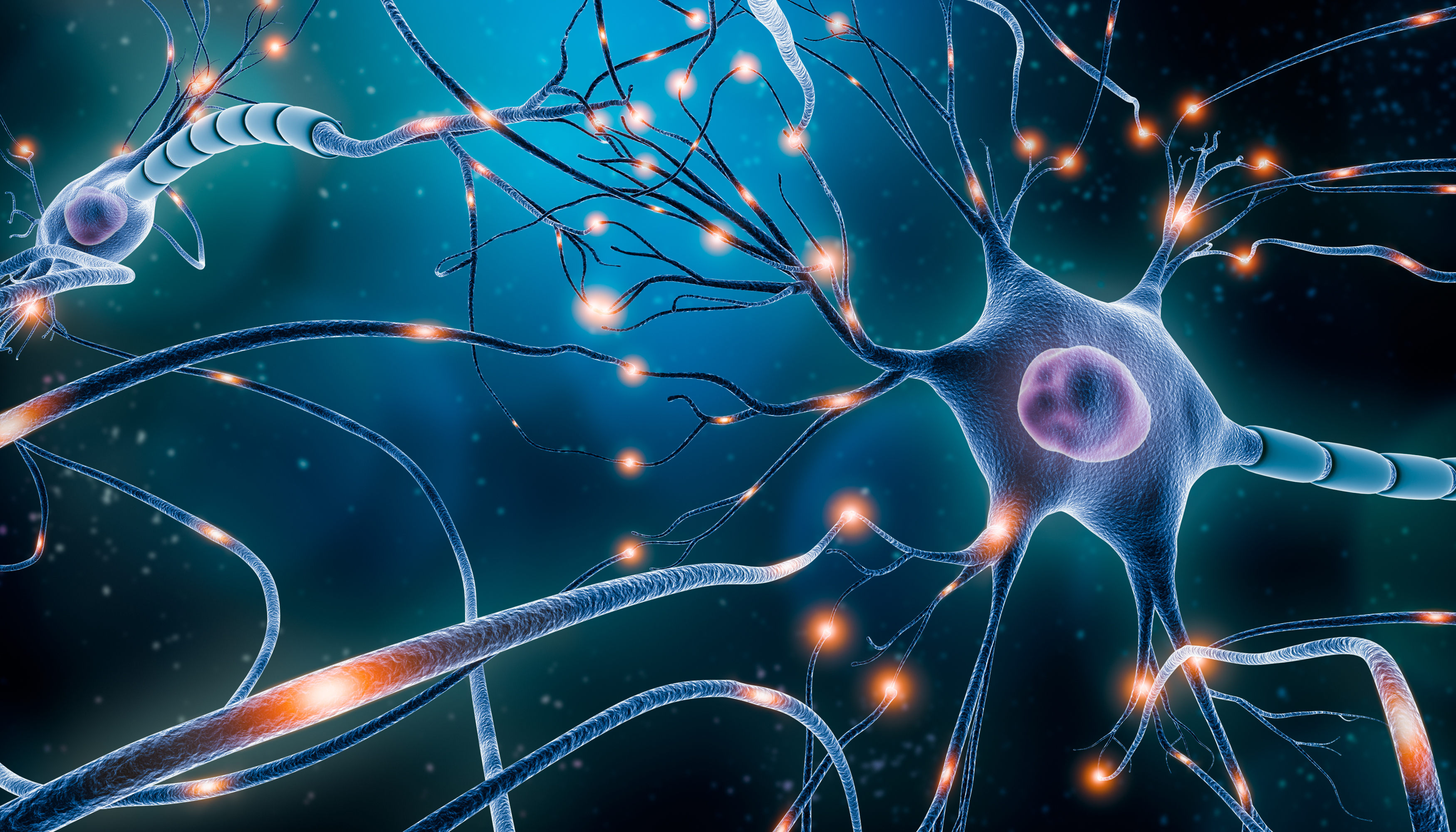 Douleurs neuropathiques périphériques