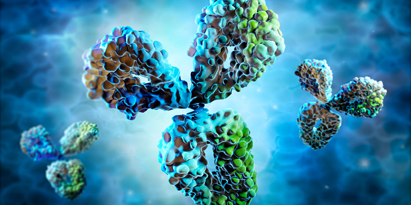 Biosimilaires