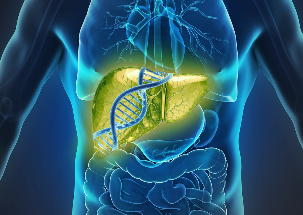 Diagnostic et prise en charge de l’hATTR-PN