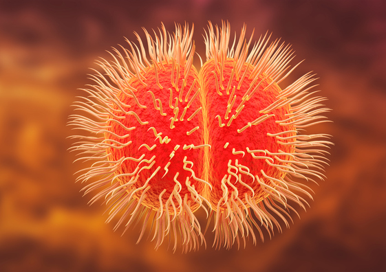NOUVEAUX CONTENUS | Infections invasives à méningocoques : épidémiologie, prévention et diagnostic