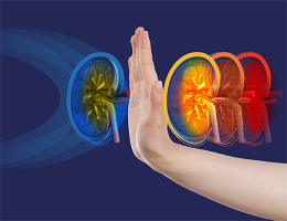 Maladie rénale chronique : ralentir la progression