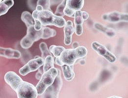 Actualités en Infectiologie ESCMID Global 2025