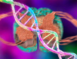 SMA : dépister précocement et traiter urgemment