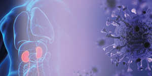 COVID, CANICULE & REIN