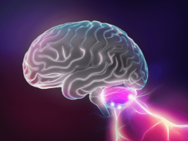 Ataxie de Friedreich, une maladie rare, génétique, neurodégénérative… encore trop méconnue