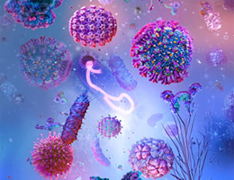 VRS, du nourrisson à l’adulte - Pr Emmanuel FAURE (Lille)